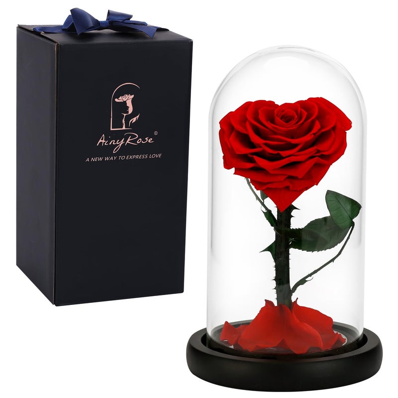 AINYROSE أينيروز وردة حقيقية محفوظة إلى الأبد هدايا عيد الميلاد للنساء، هدية عيد الحب زهرة أبدية في زجاج لعيد الحب، عيد الأم، عيد الميلاد، الذكرى السنوية، عيد الميلاد (أحمر) - Image 1